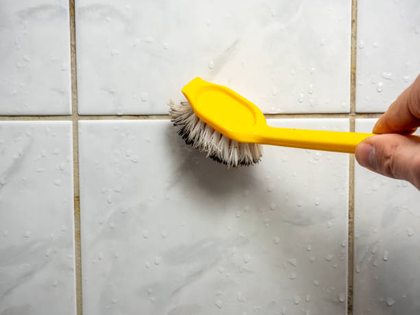 Best Office Mold Removal Services  in Clifton, TN