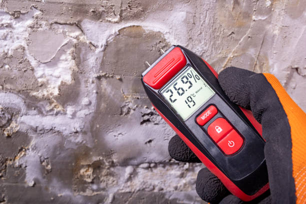 Clifton, TN Mold Removal Company