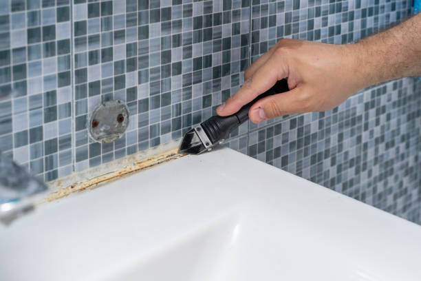 Office Mold Removal Services in Clifton, TN