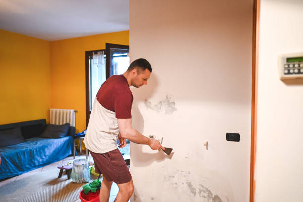 Best Attic Mold Removal  in Clifton, TN